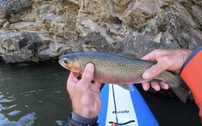 Fun Times with Tommy Hilleke and my family on the Main Salmon River in Idaho with the Ringer!